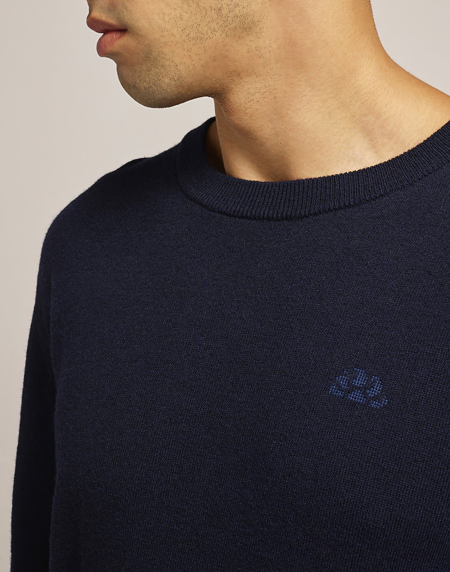 CASHMERE BLEND CREW-NECK JUMPER