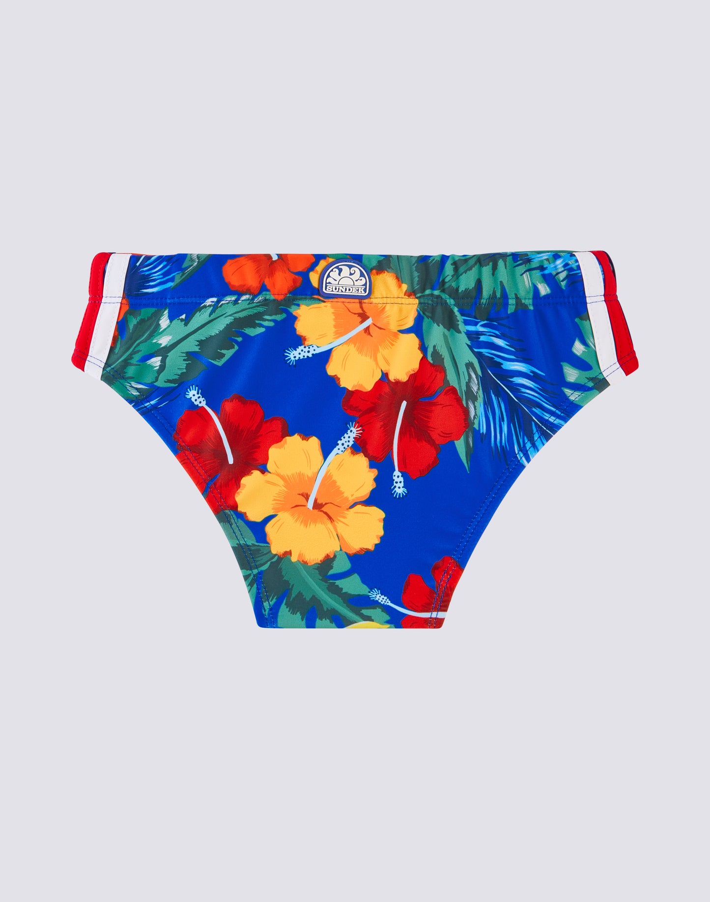 MINI DIWALTER MASTERPIECE PRINT BRIEFS